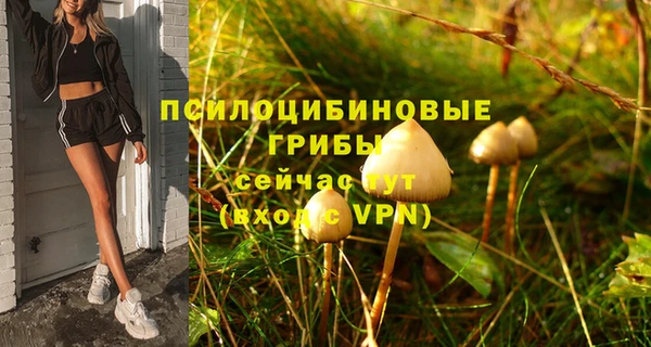 спиды Абинск