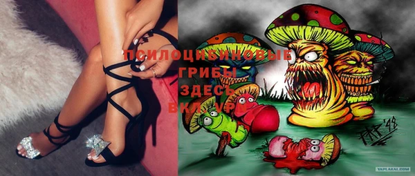 спиды Абинск
